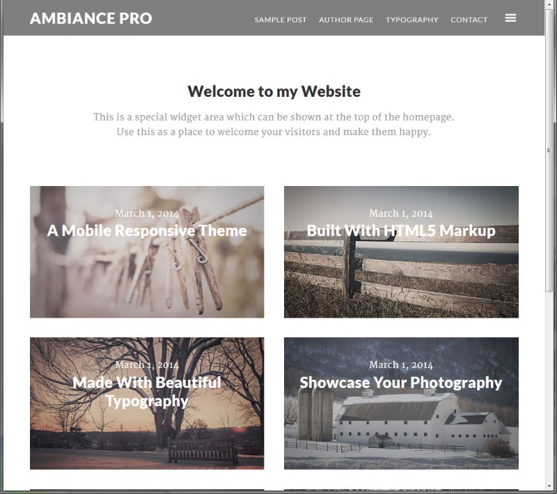 Best Photography WordPress Themes - Ambiance Theme