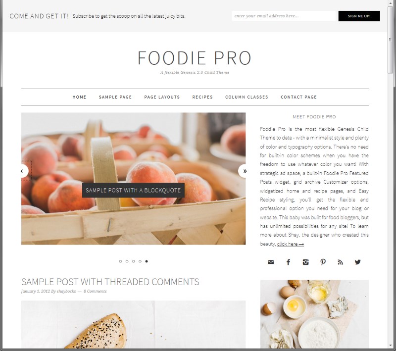 Best Food WordPress Themes - Foodie Pro Theme