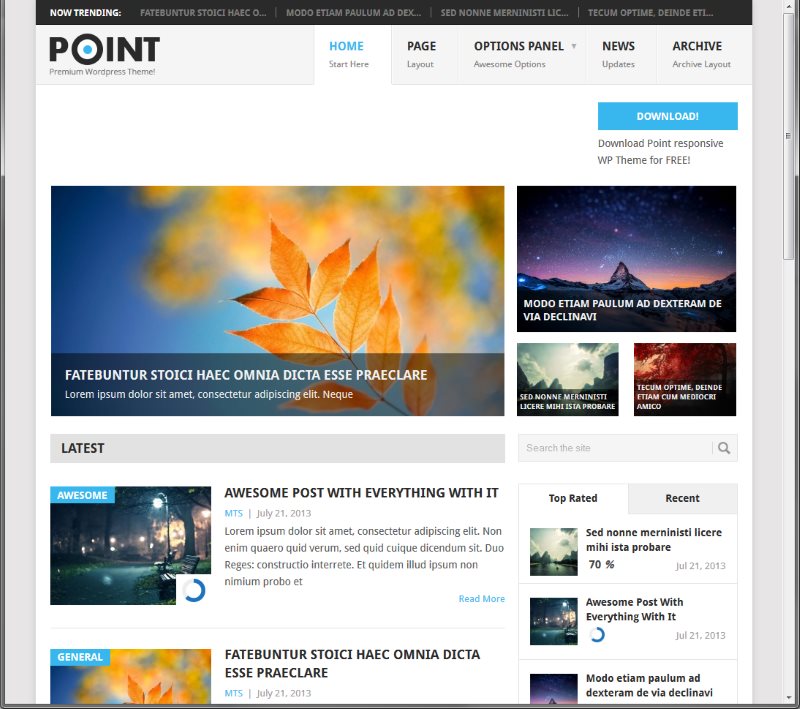 How to Choose a WordPress theme free - Point Theme